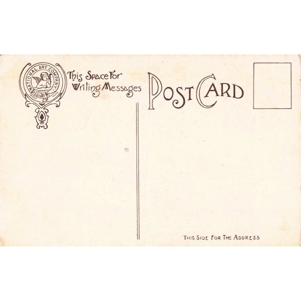 Comic Postcard 1906 C Twelvetrees A Bear Impression #210 Wet Paint Park Bench - Picture 2 of 2